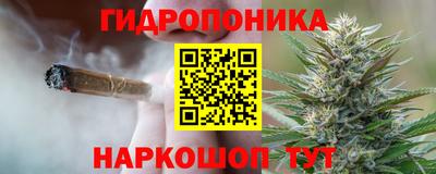 прущие крисы Комсомольск-на-Амуре