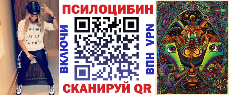 как найти наркотики  Новоуральск  Галлюциногенные грибы Psilocybe 