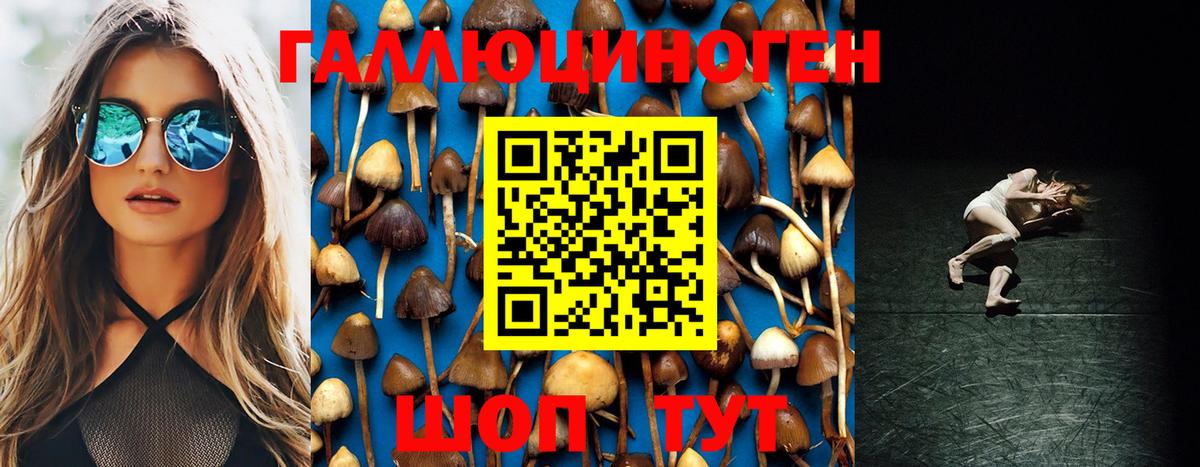 Новоуральск  Псилоцибиновые грибы мицелий  закладки  Вход с VPN  Галлюциногенные грибы Cubensis 