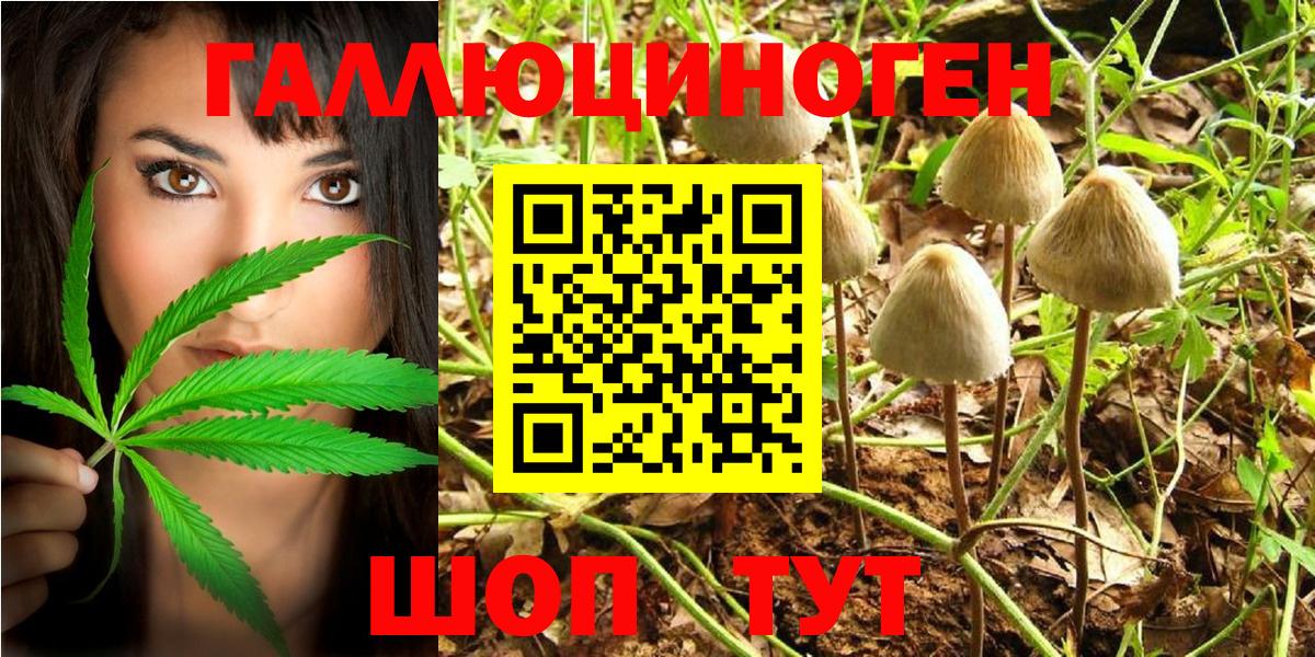 Псилоцибиновые грибы прущие грибы Новоуральск
