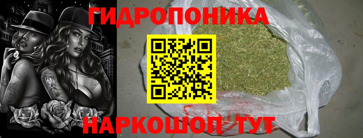 Шишки марихуана VHQ  Вход с VPN  Новоуральск  Шишки марихуана семена  Шишки марихуана семена 
